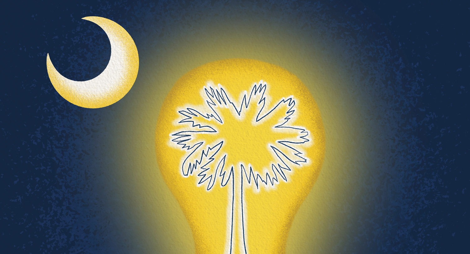 An illustration of a lightbulb within an illustration of a South Carolina flag.
